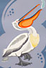 'Dalmatian Pelican' - Linocut - Edition of 50. Image size approx 36x26cm